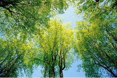 《魔兽世界：地心之战》IGN 9分 史上最好资料片